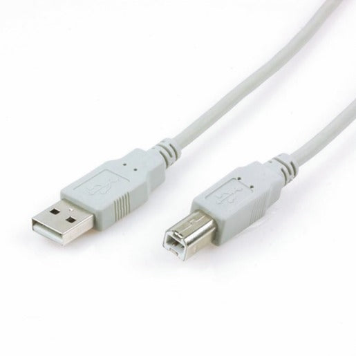 Cable USB 2.0 de 6' A-macho a B-macho XTECH | XTC-302W